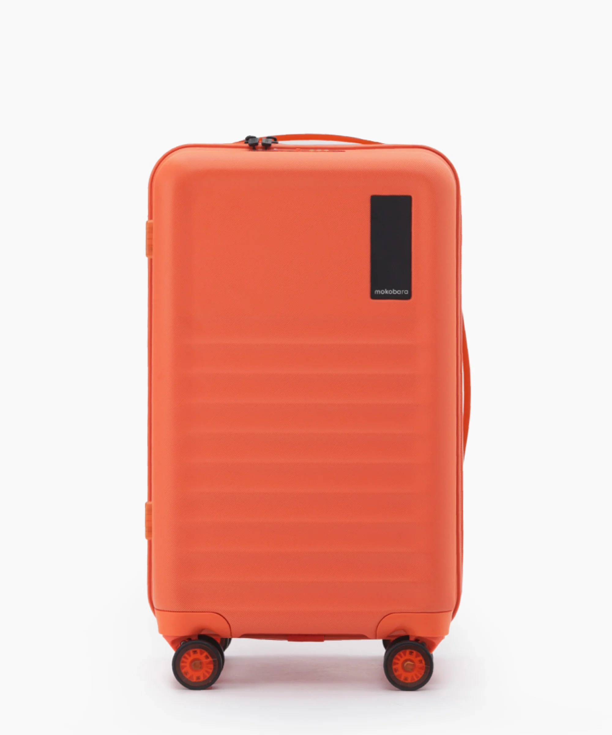Aisle Trunk - Cabin - Image 10