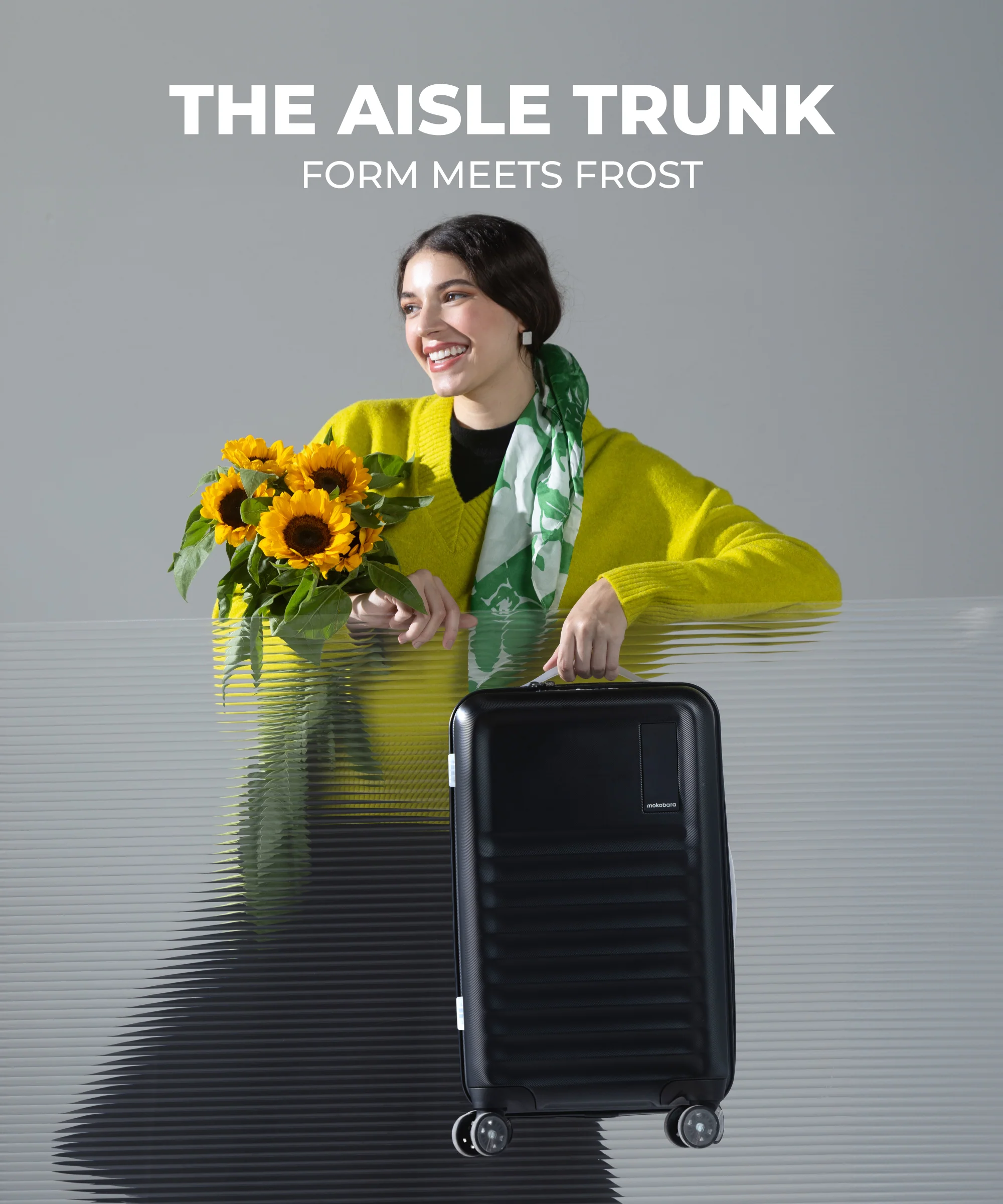 Aisle Trunk - Cabin - Image 43
