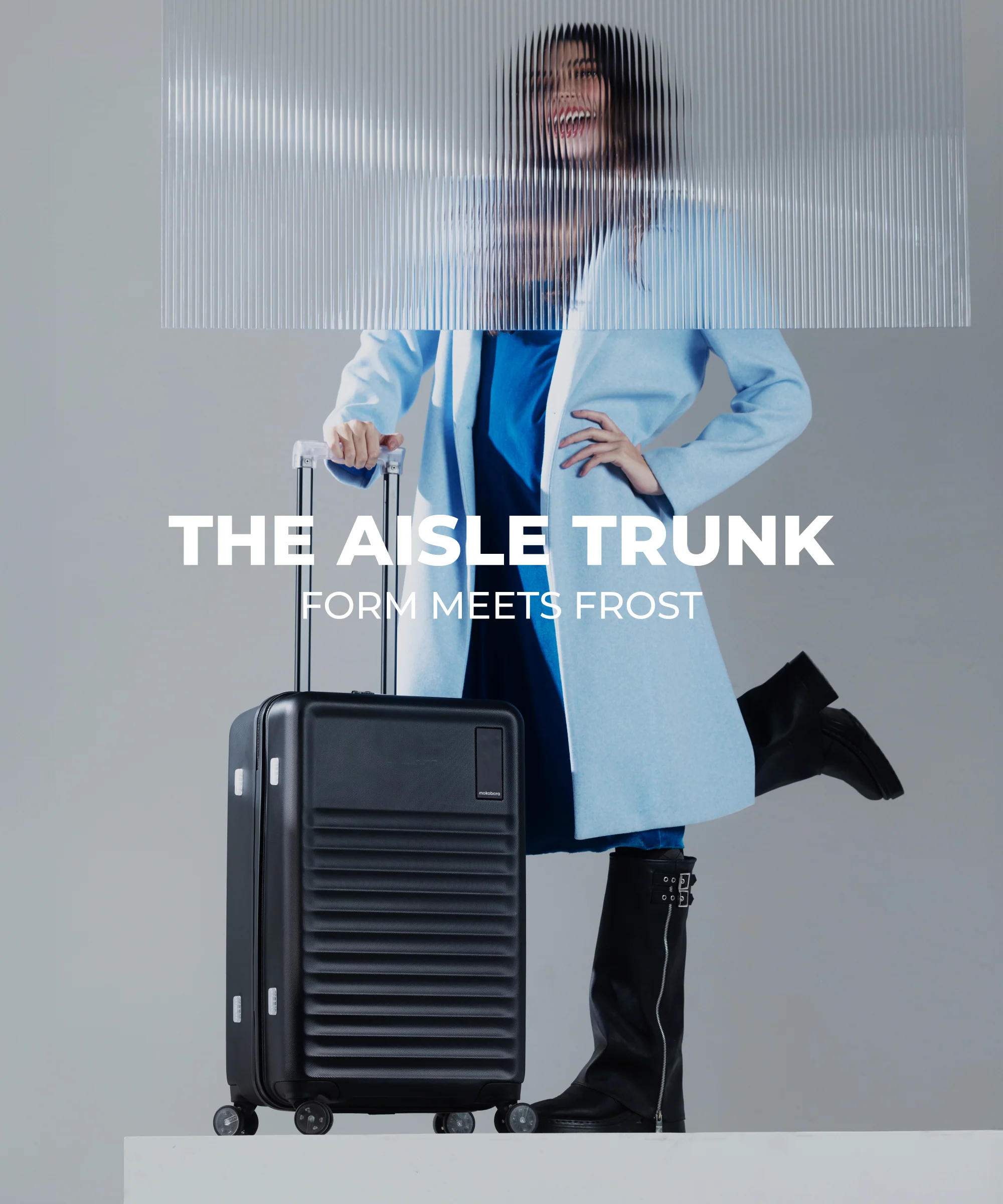 Aisle Trunk - Check-in - Image 12