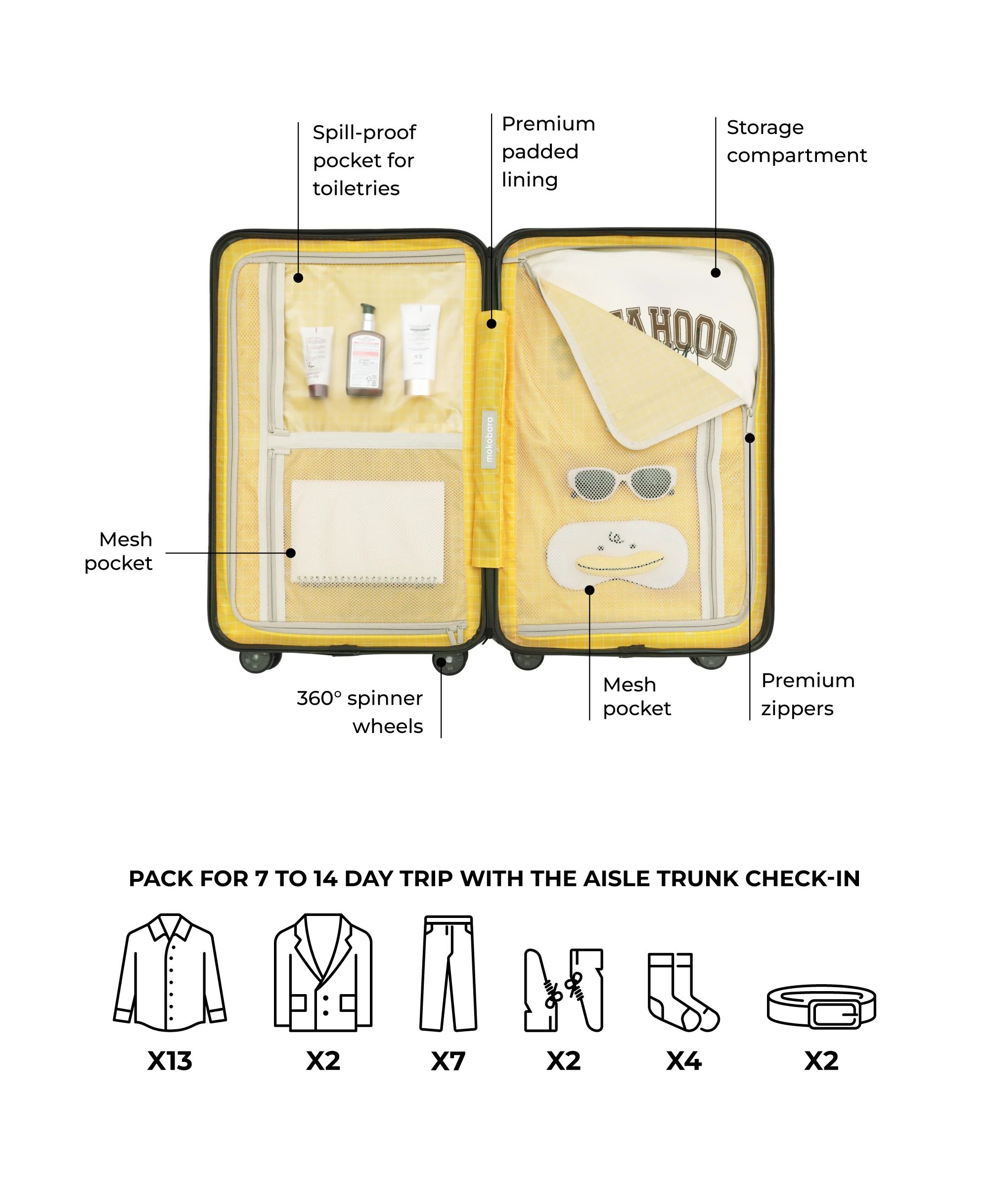 Aisle Trunk - Check-in - Image 25