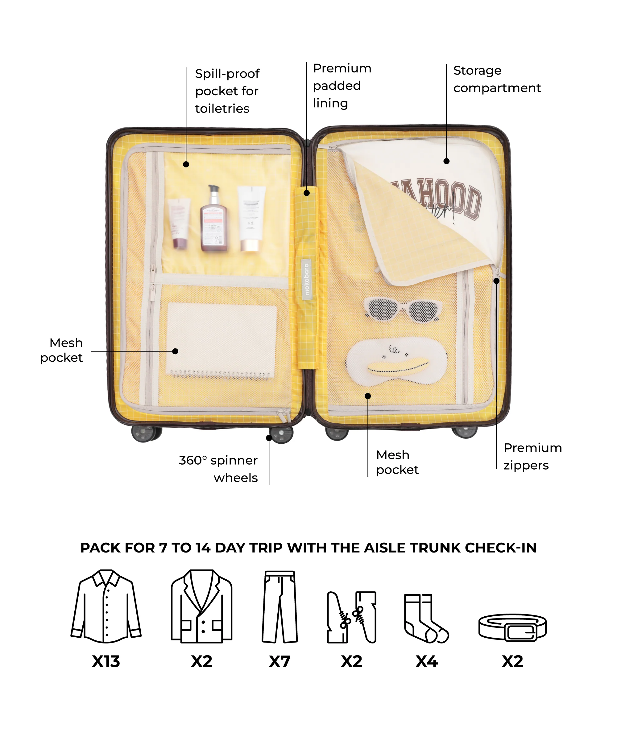 Aisle Trunk - Check-in - Image 35