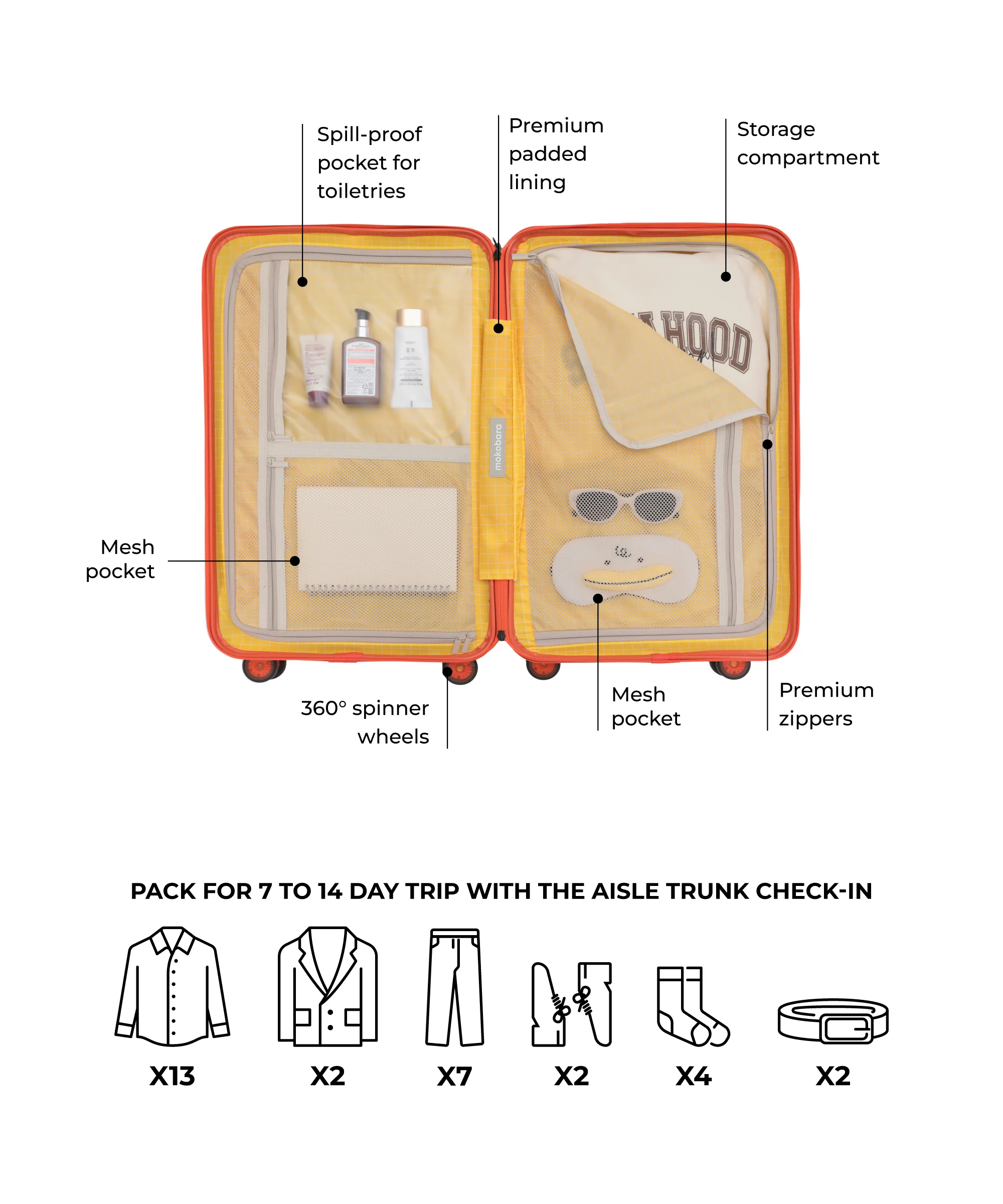 Aisle Trunk - Check-in - Image 45