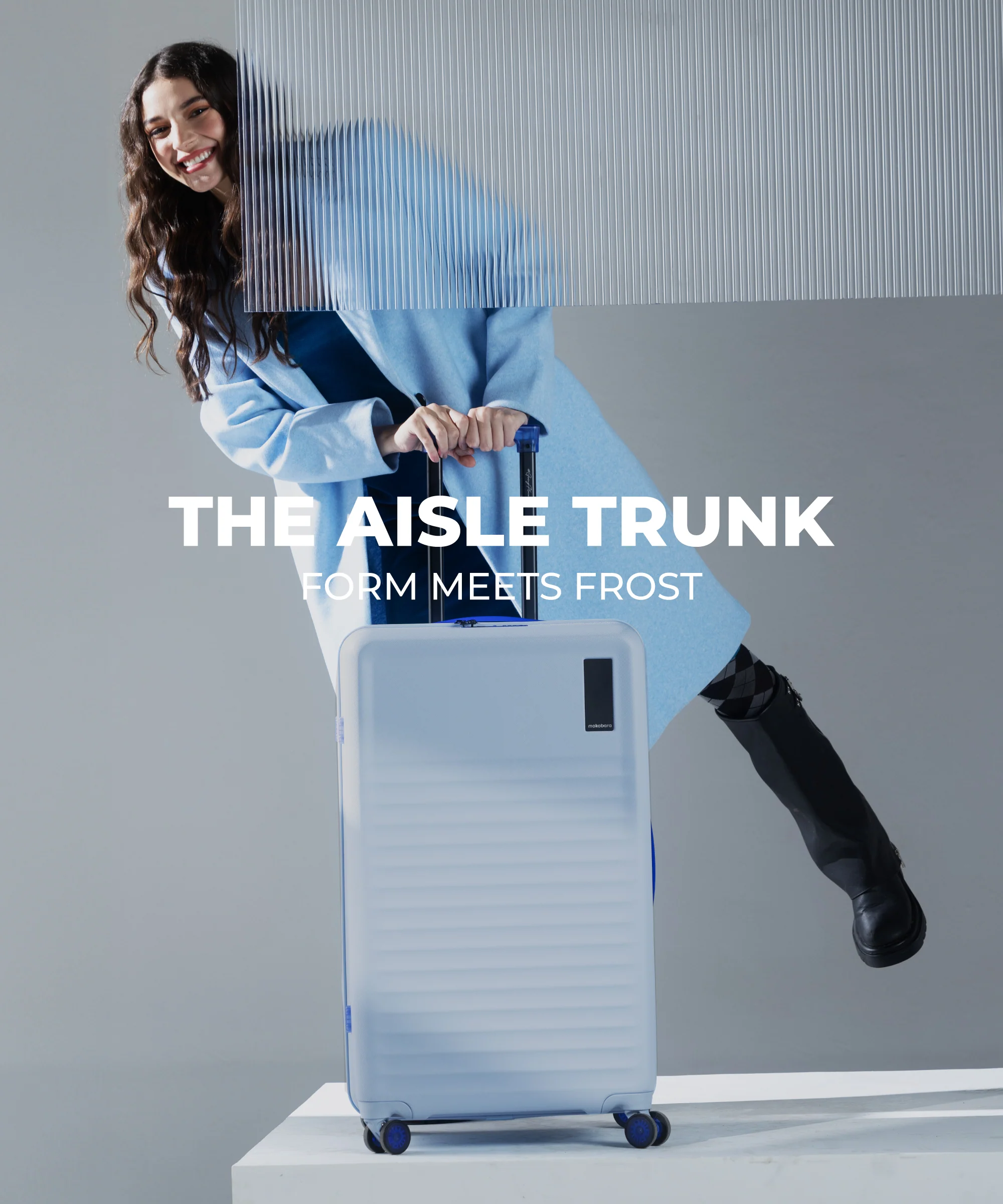 Aisle Trunk - Large - Image 12