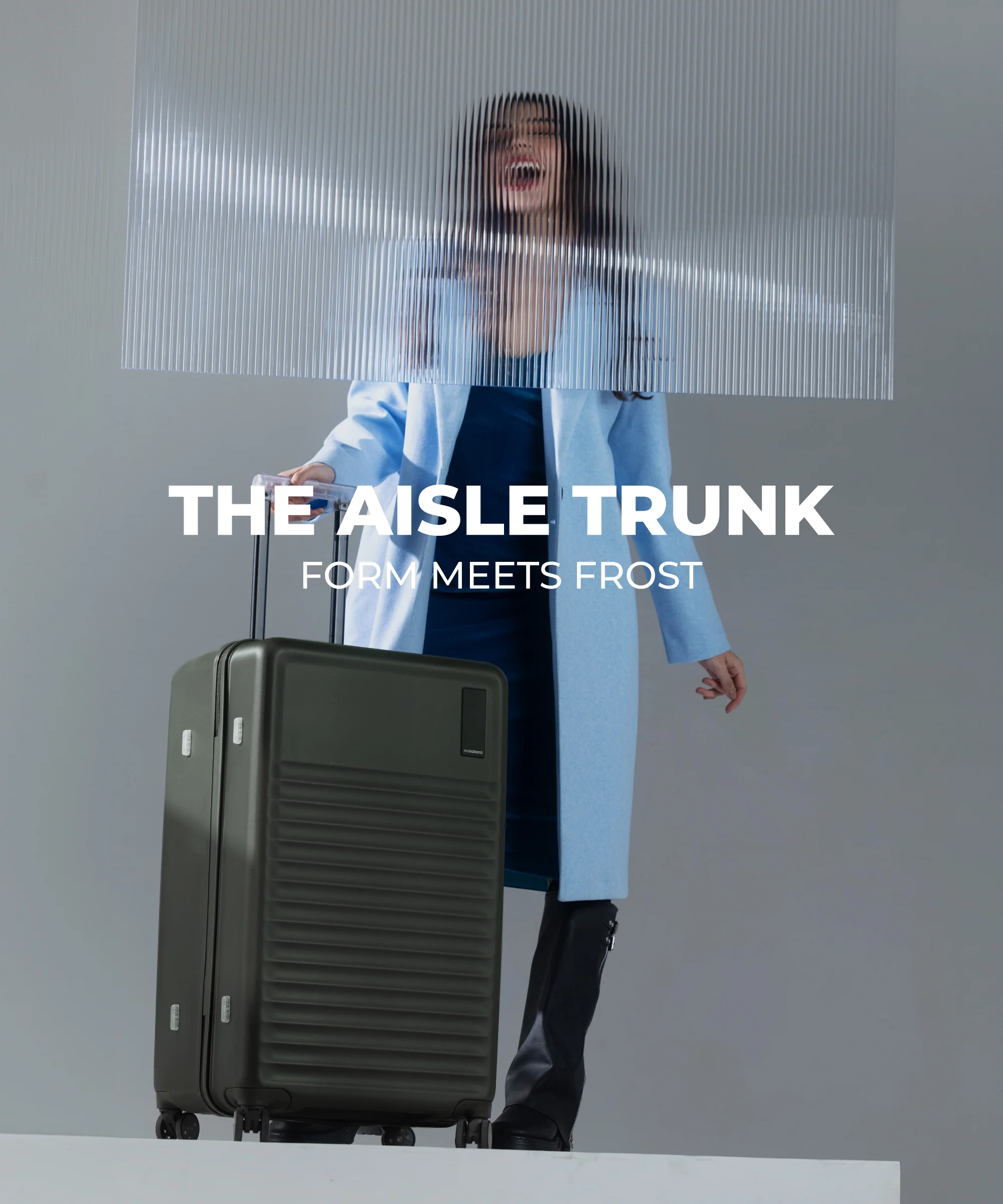 Aisle Trunk - Large - Image 22