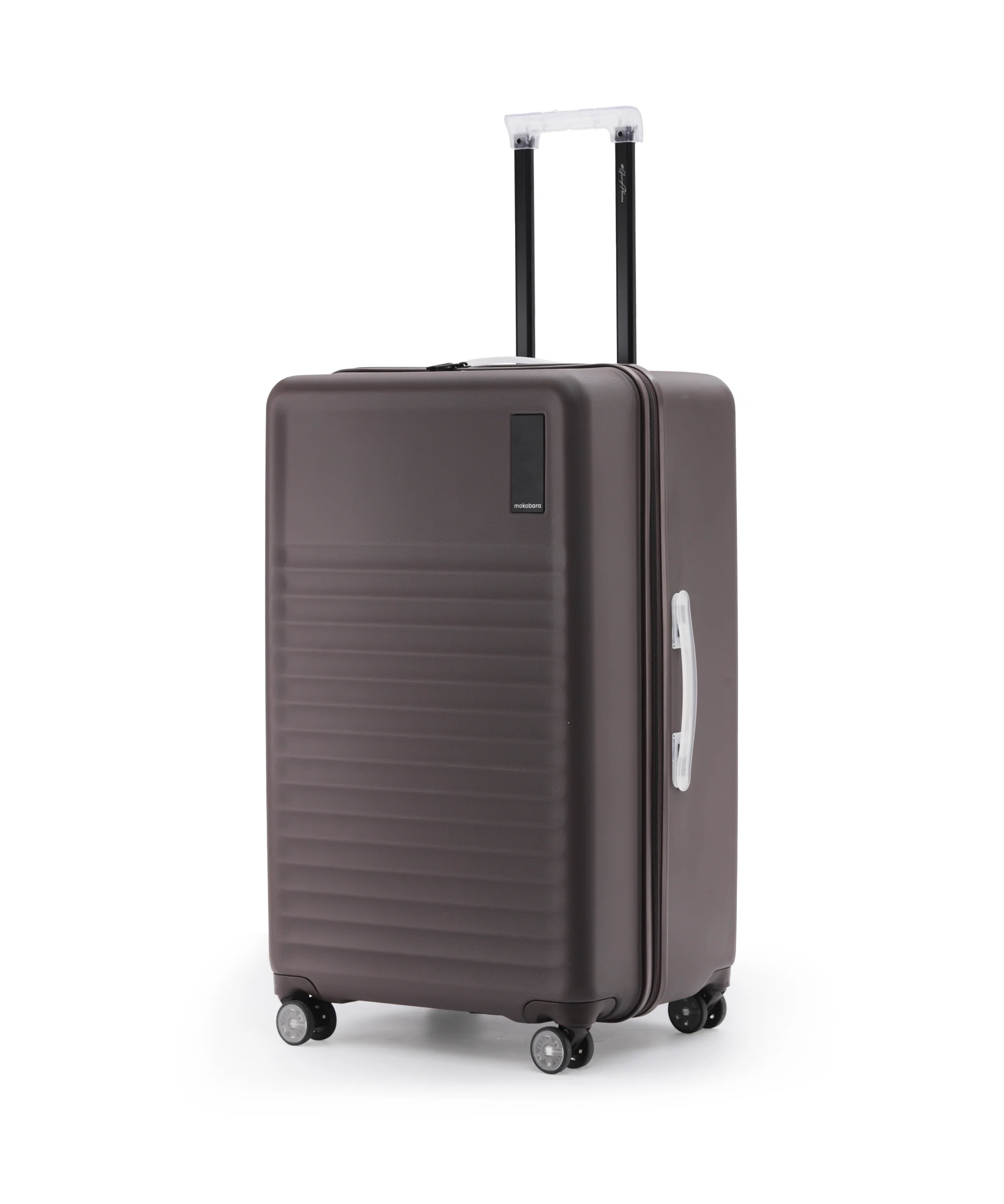 Aisle Trunk - Large - Image 31