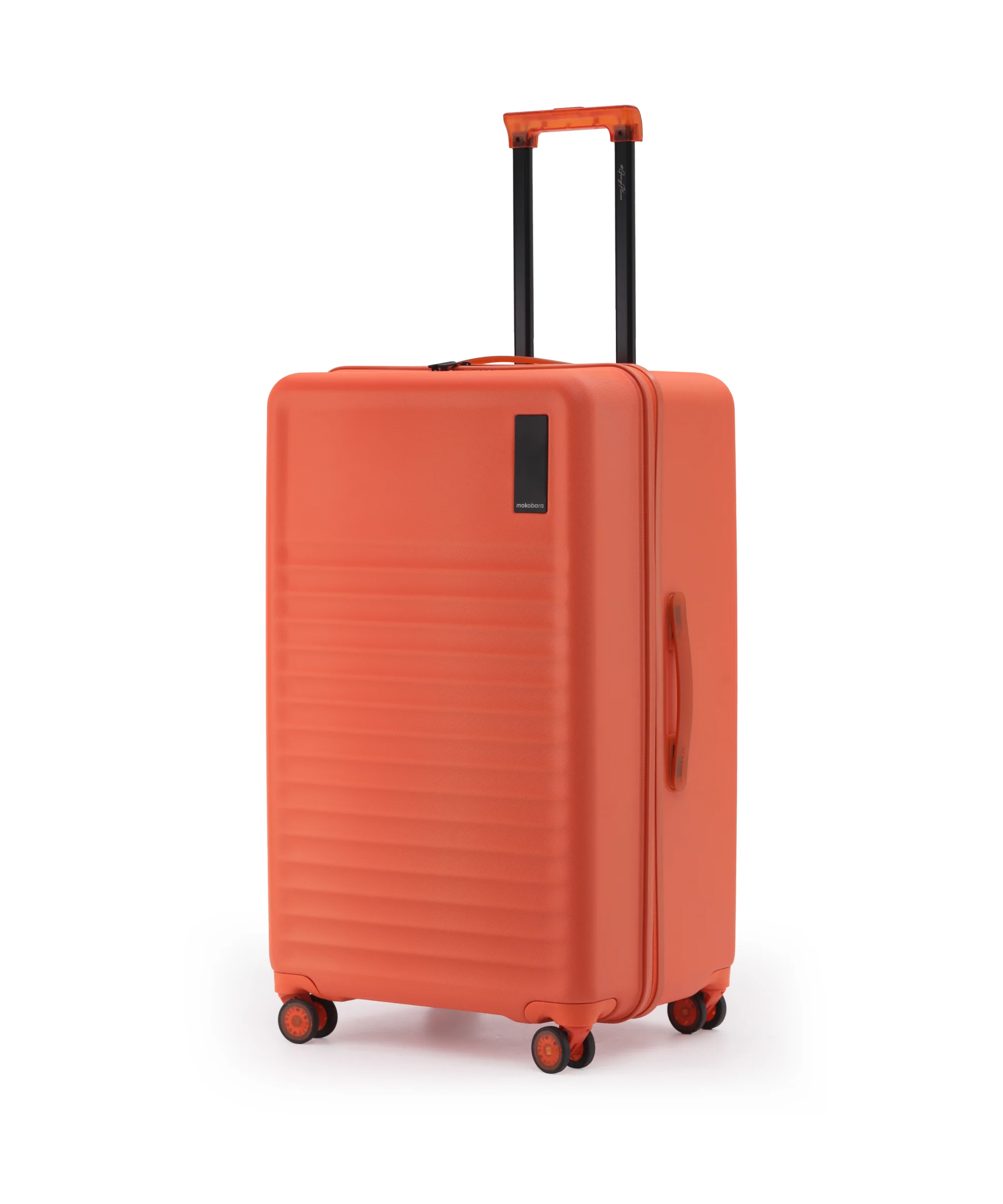 Aisle Trunk - Large - Image 41