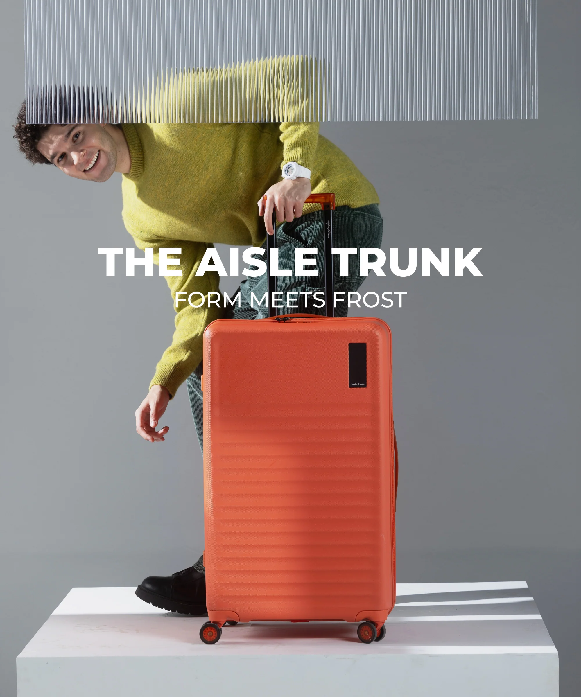 Aisle Trunk - Large - Image 42