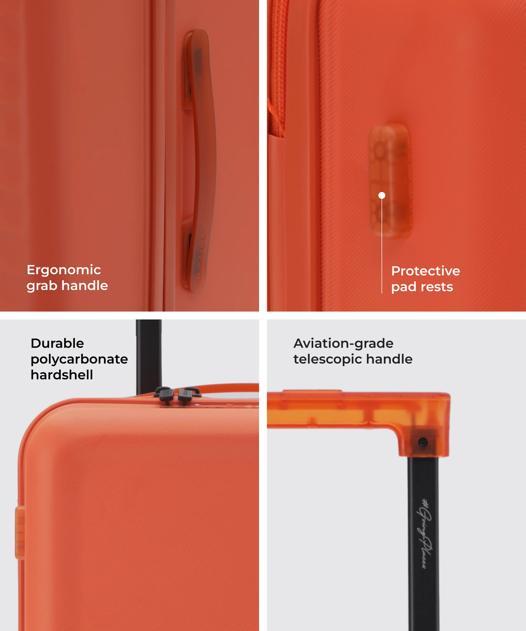 Aisle Trunk - Large - Image 45
