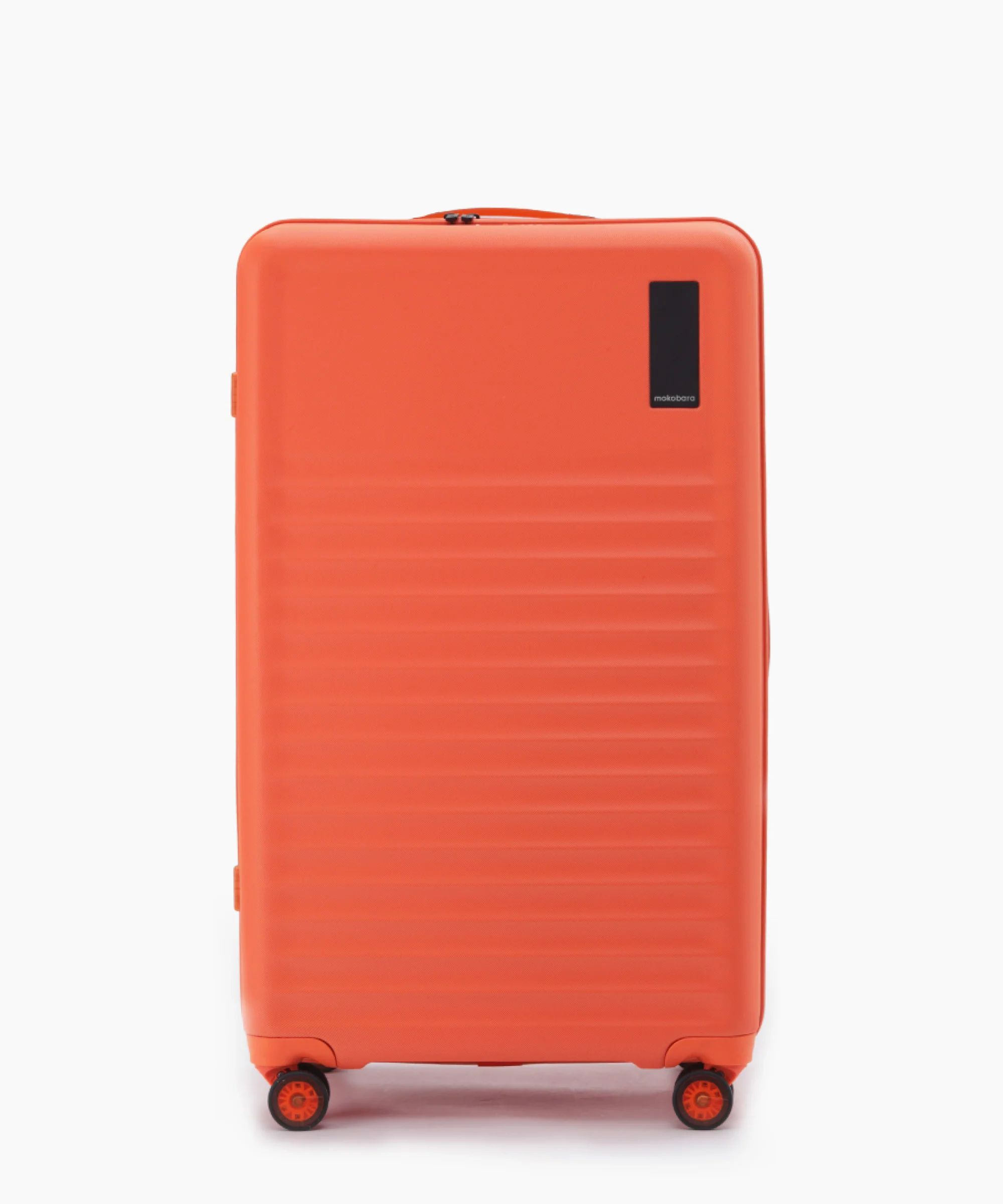 Aisle Trunk - Large - Image 50