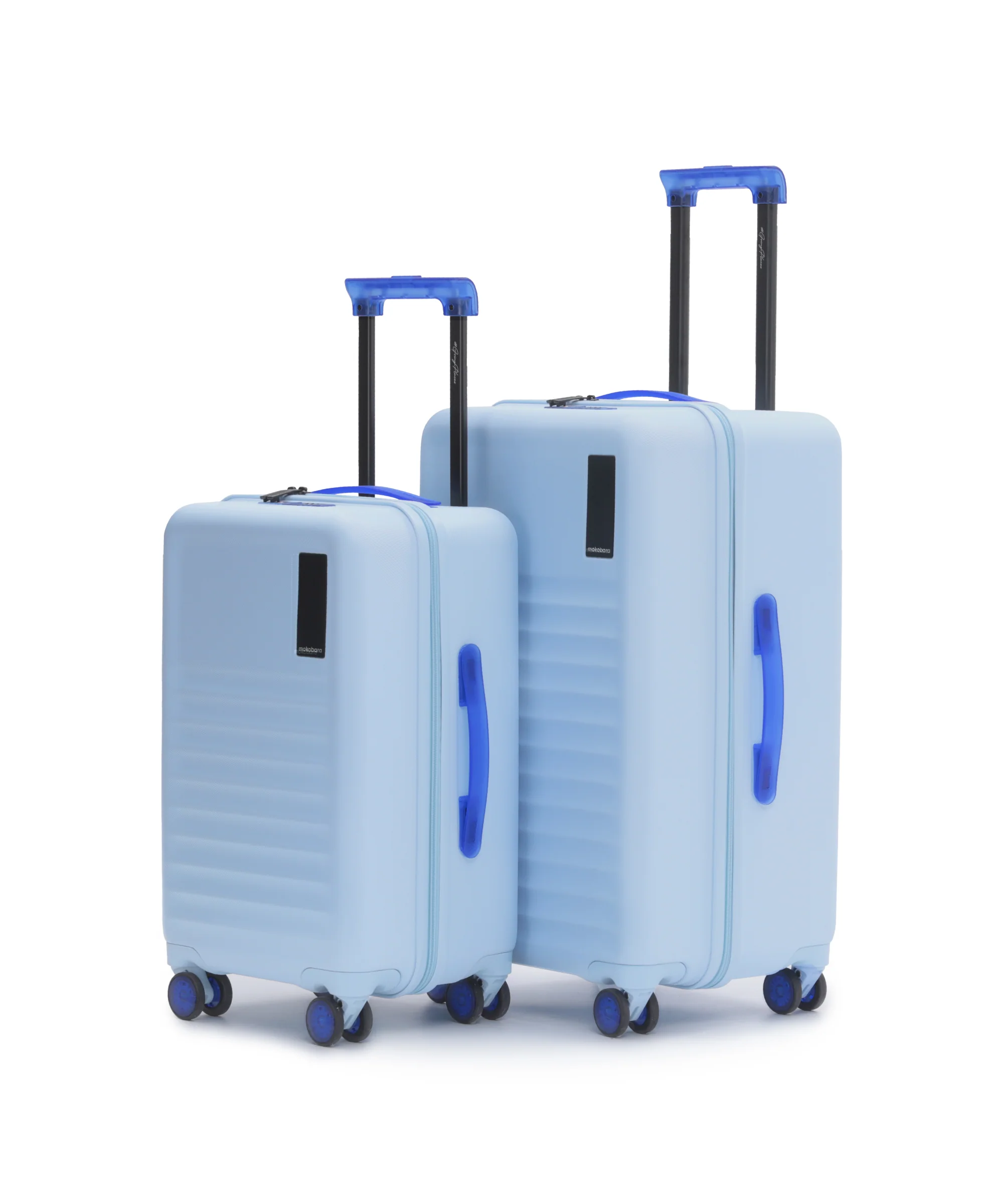 Aisle Trunk - Set of 2 - Image 11
