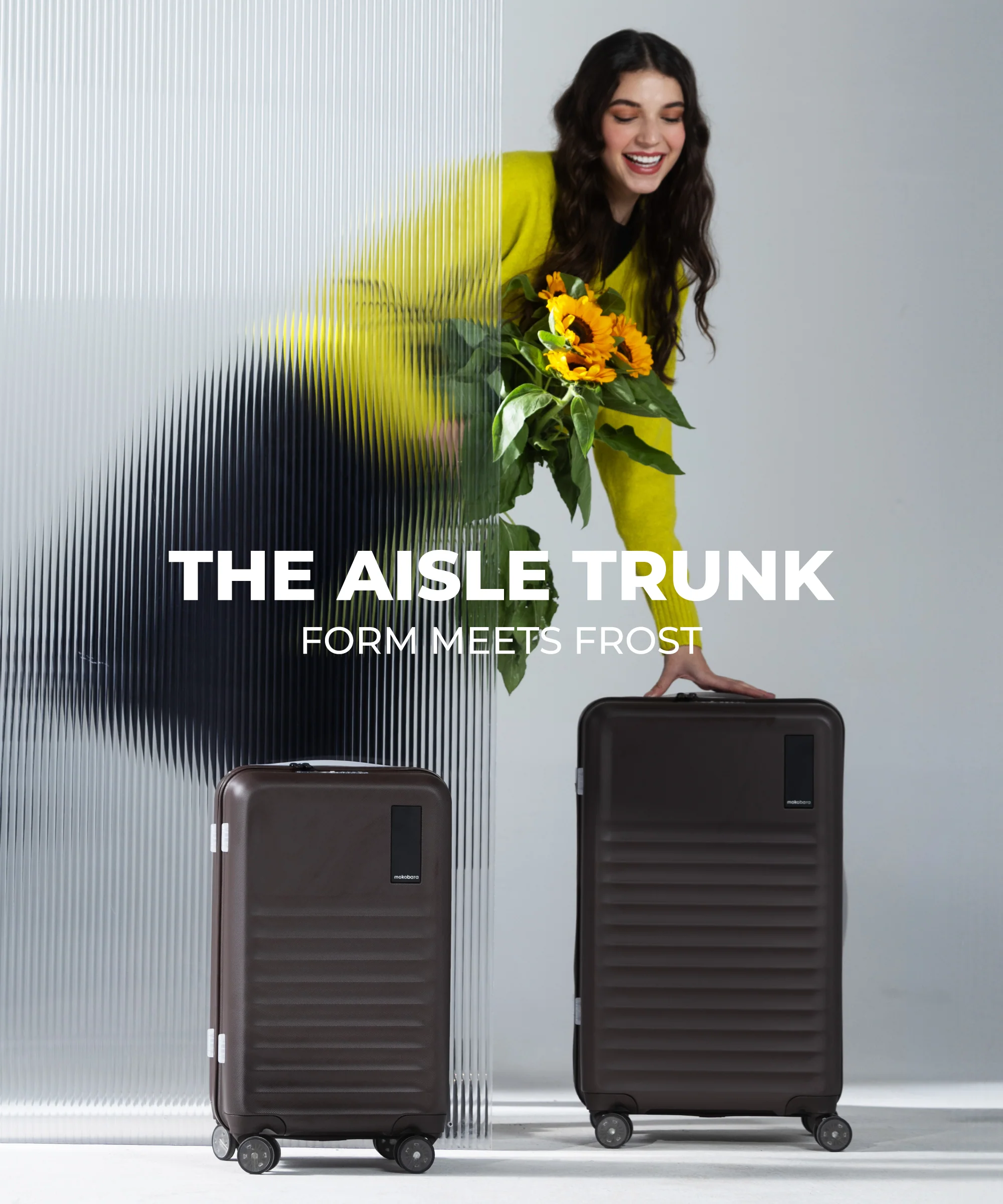 Aisle Trunk - Set of 2 - Image 32