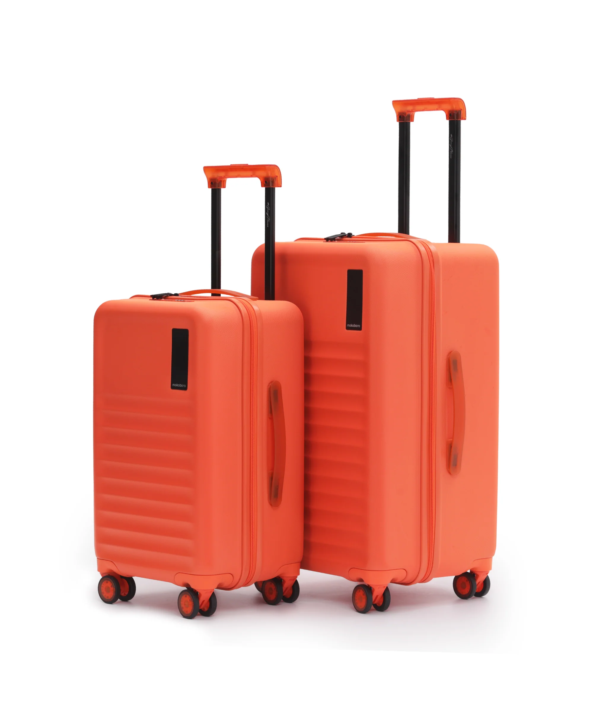 Aisle Trunk - Set of 2 - Image 41