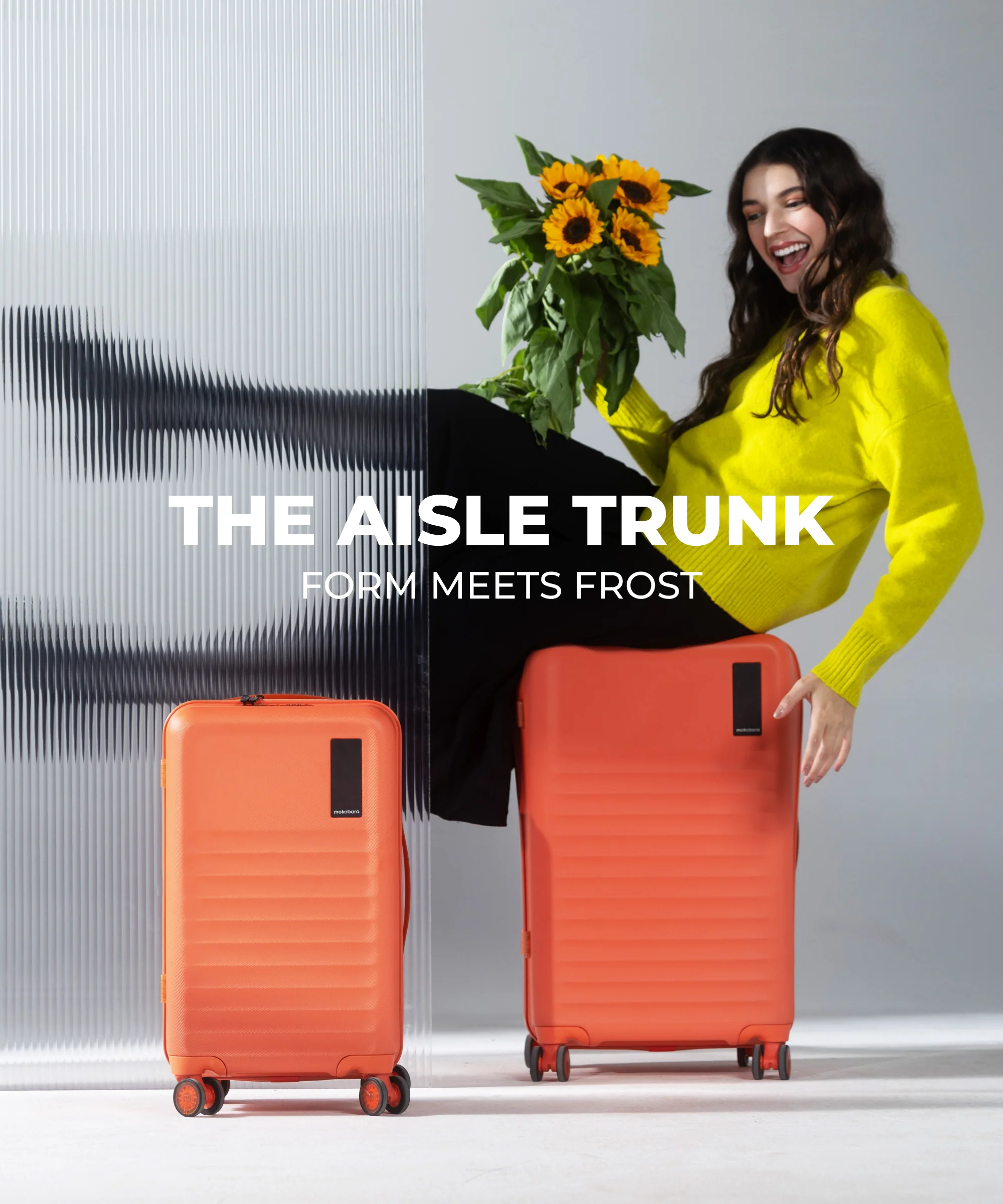 Aisle Trunk - Set of 2 - Image 42