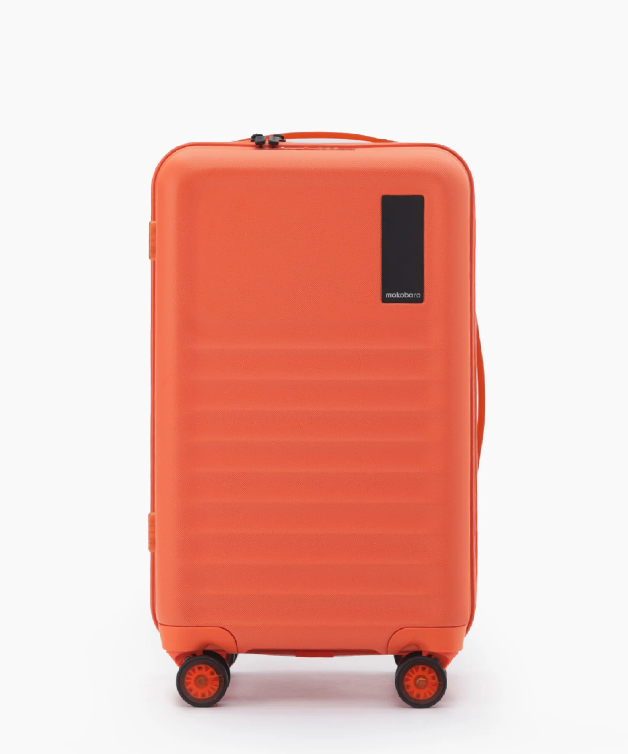Aisle Trunk - Set of 2 - Image 50