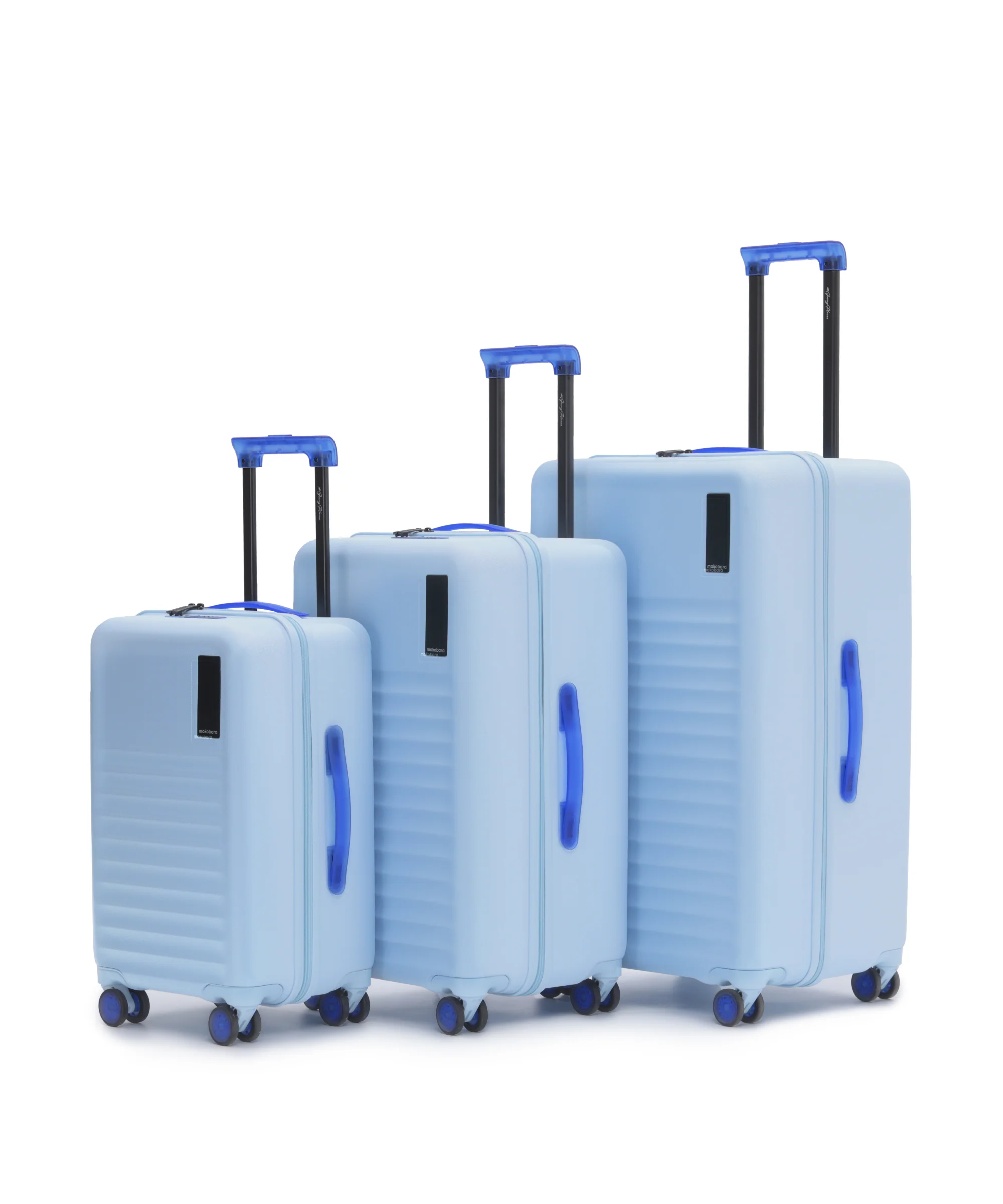 Aisle Trunk - Set of 3 - Image 11