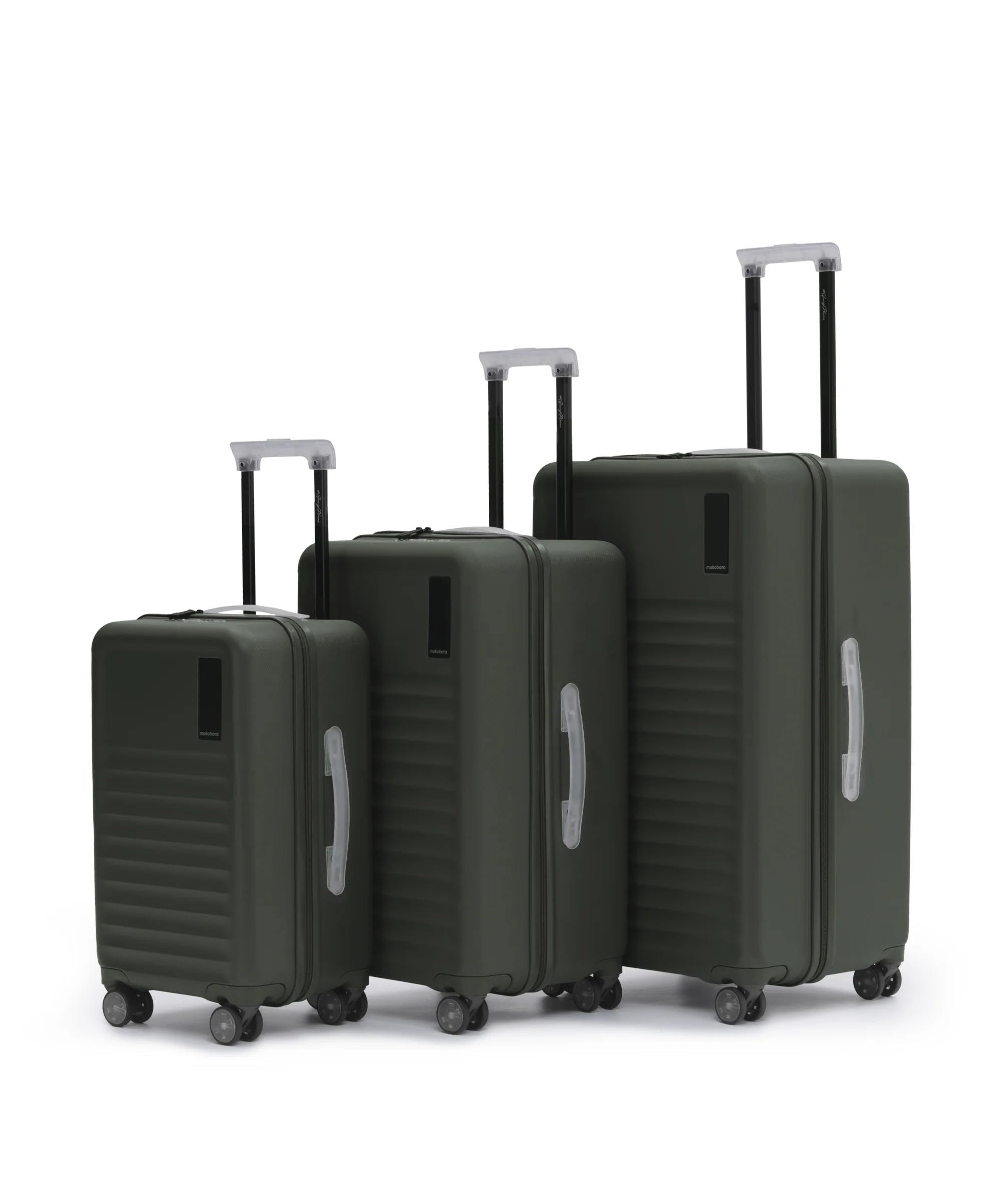 Aisle Trunk - Set of 3 - Image 21