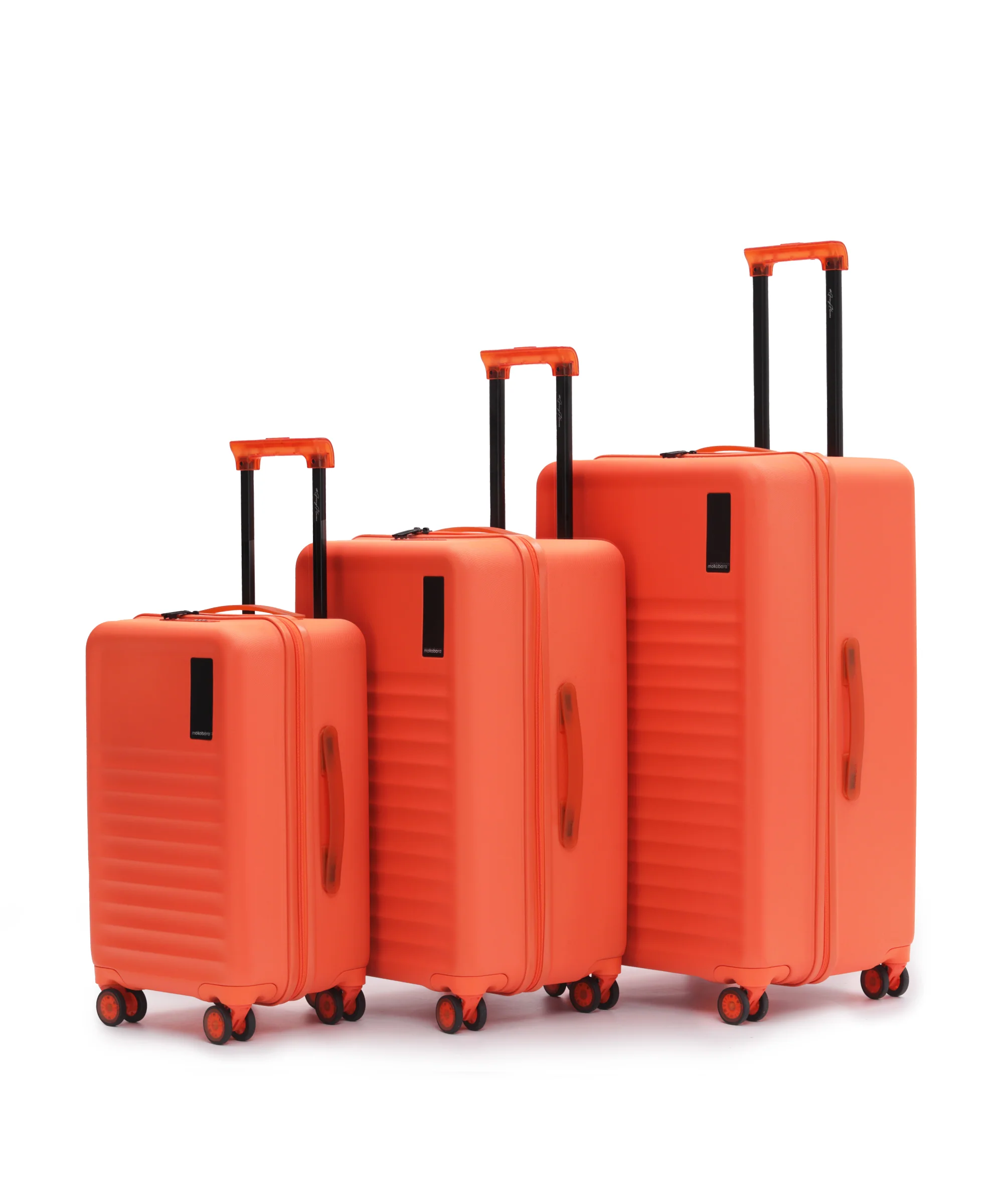 Aisle Trunk - Set of 3 - Image 41