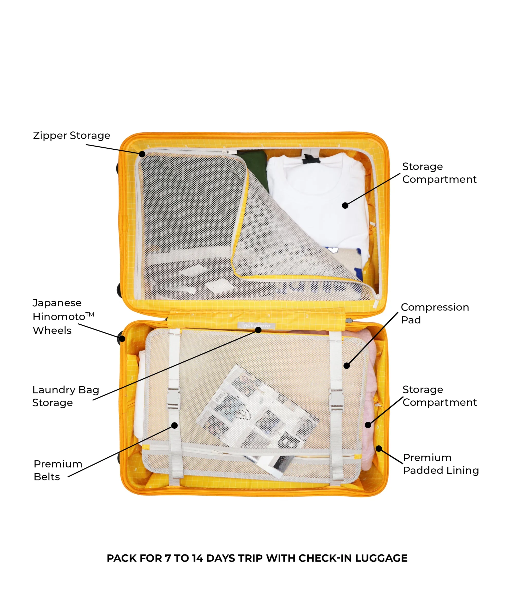Check-in Luggage - Image 61