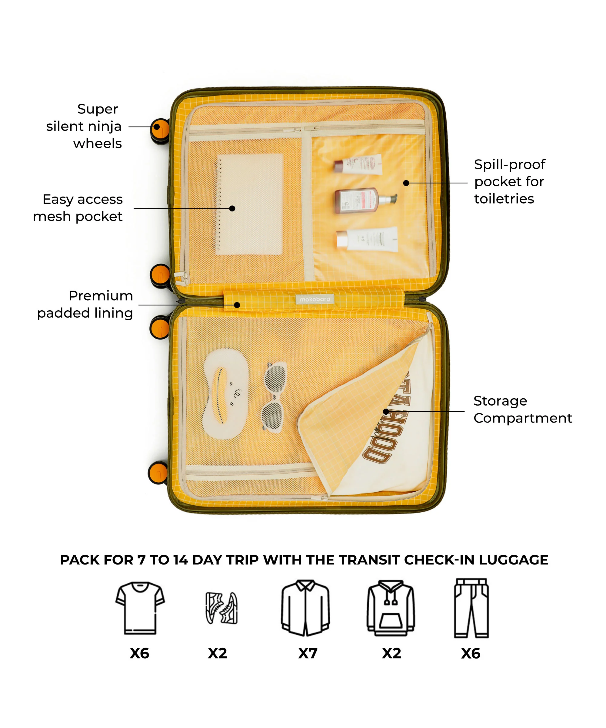 Transit Luggage - Check-in - Image 13