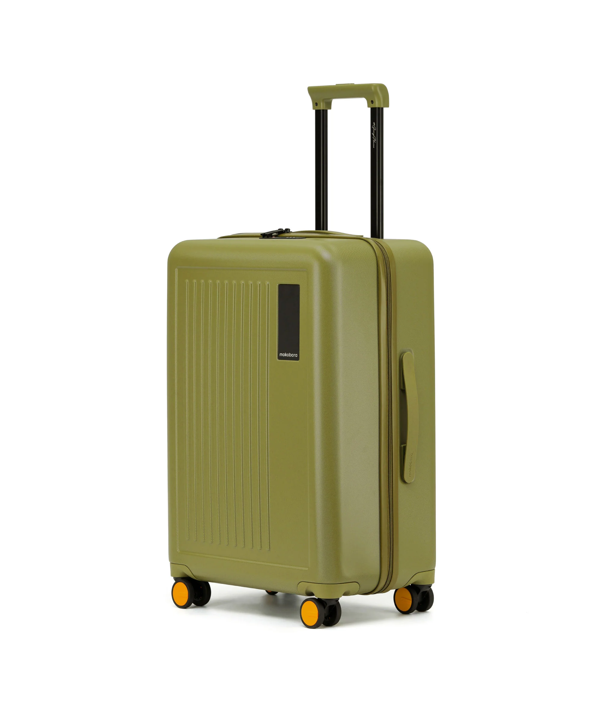 Transit Luggage - Check-in - Image 17