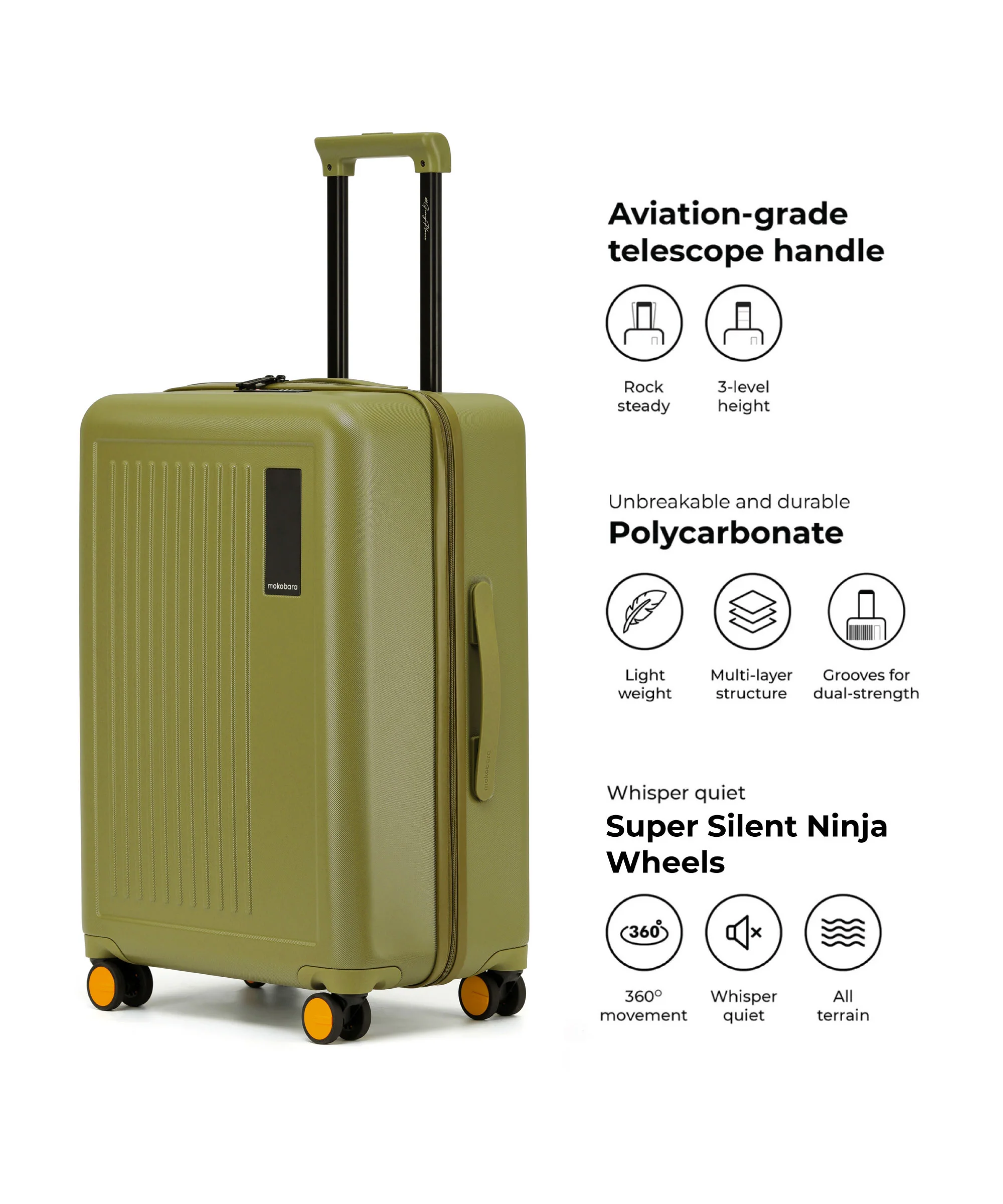 Transit Luggage - Check-in - Image 19