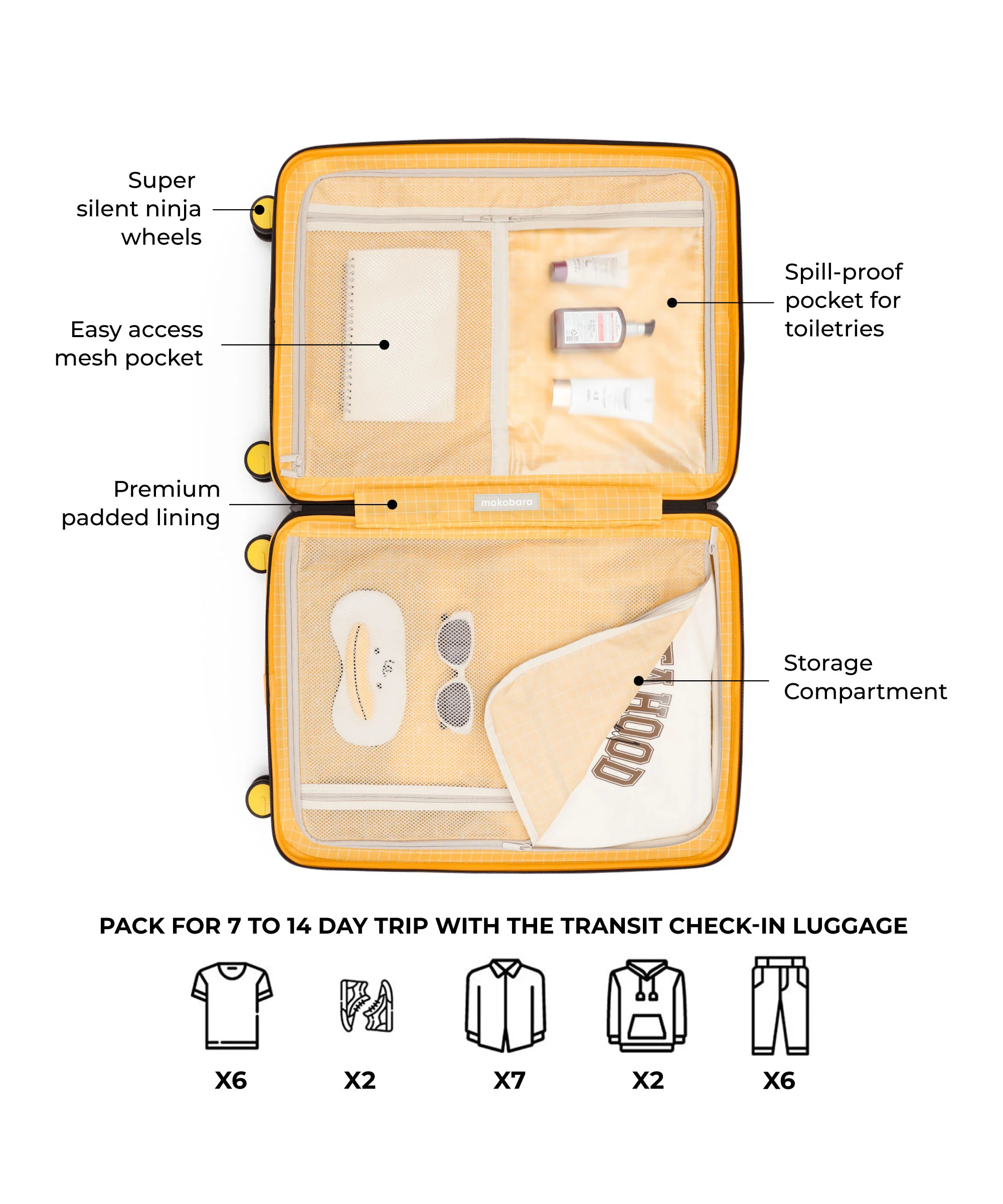 Transit Luggage - Check-in - Image 21