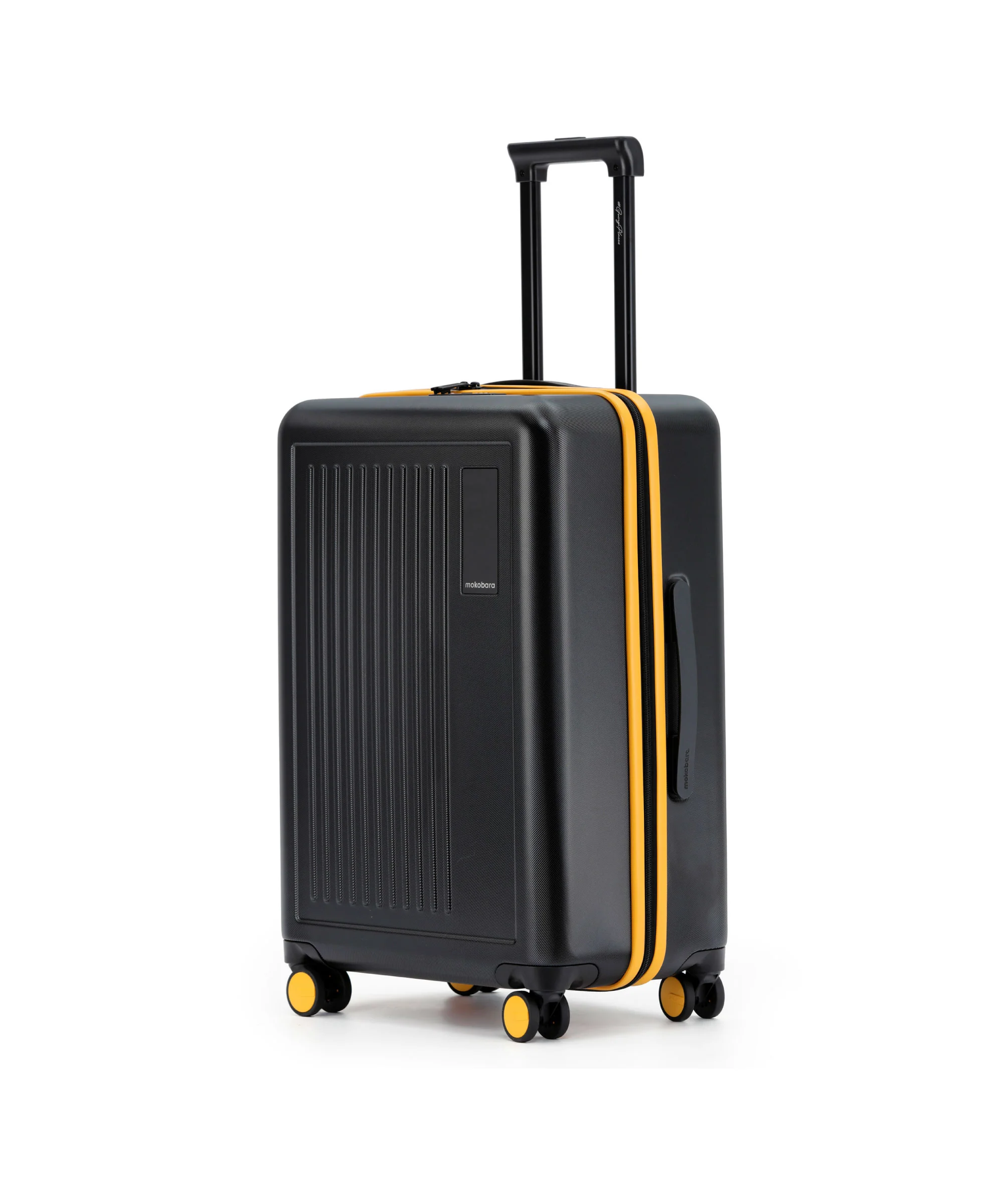 Transit Luggage - Check-in - Image 25