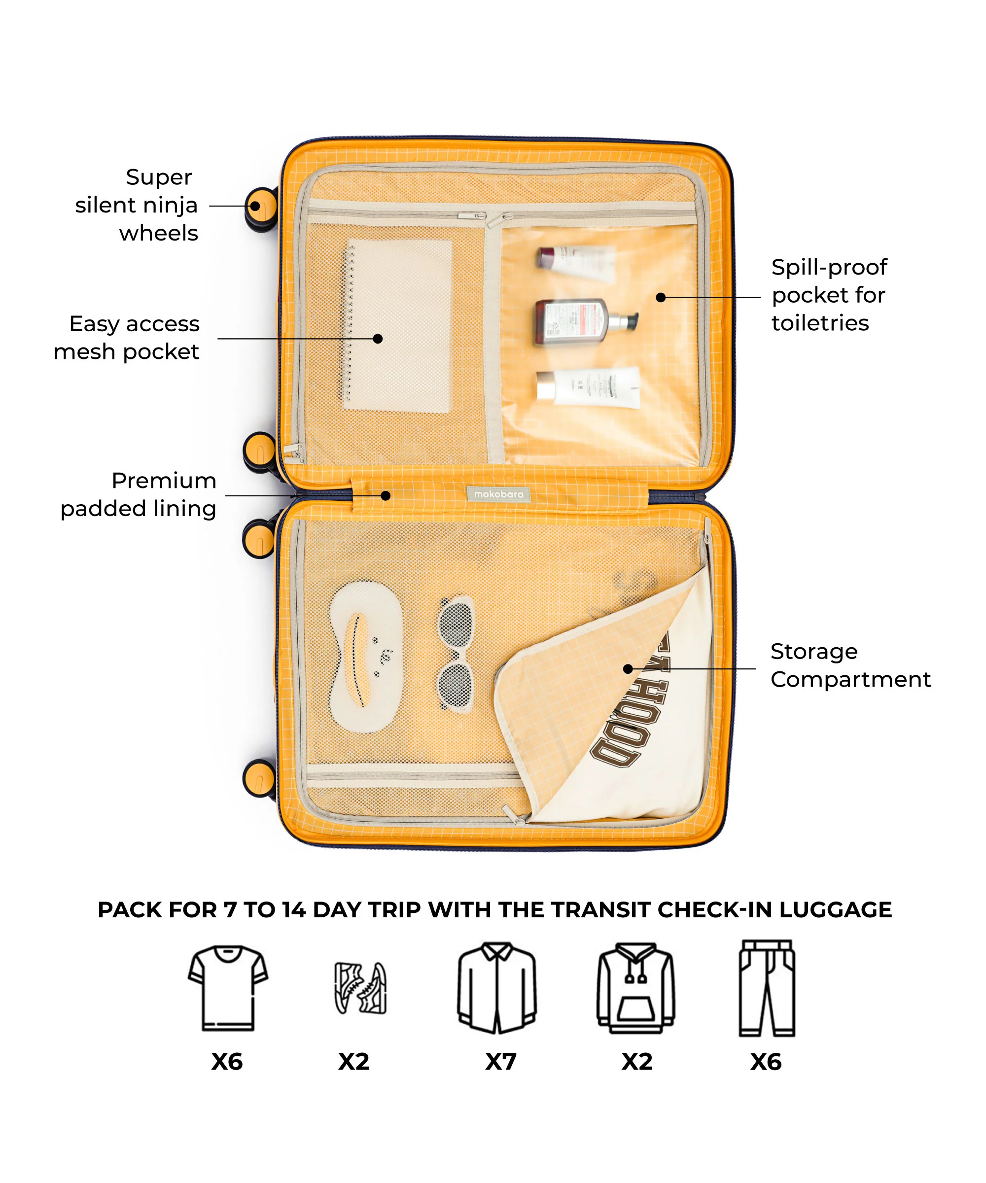 Transit Luggage - Check-in - Image 29