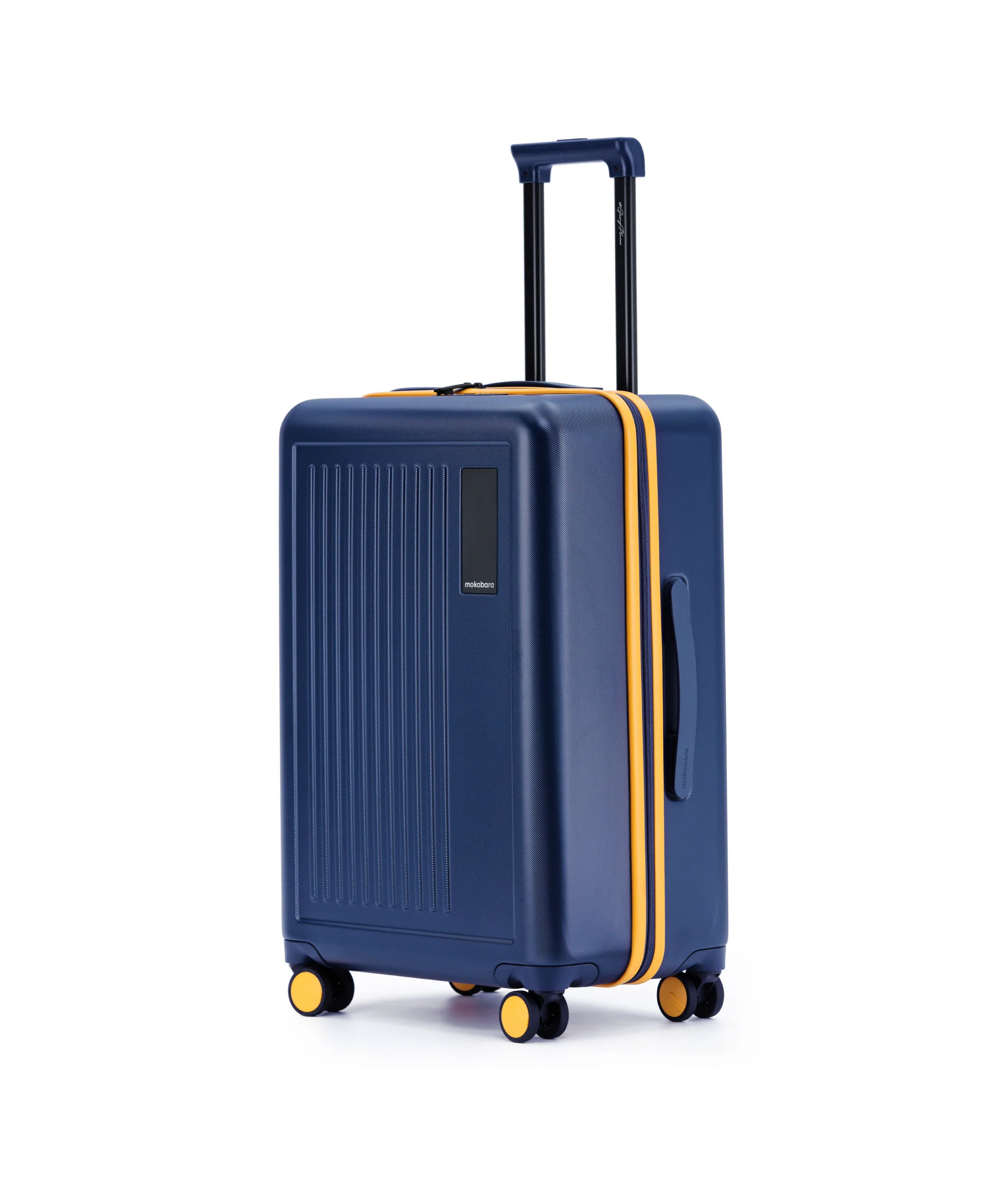 Transit Luggage - Check-in - Image 33