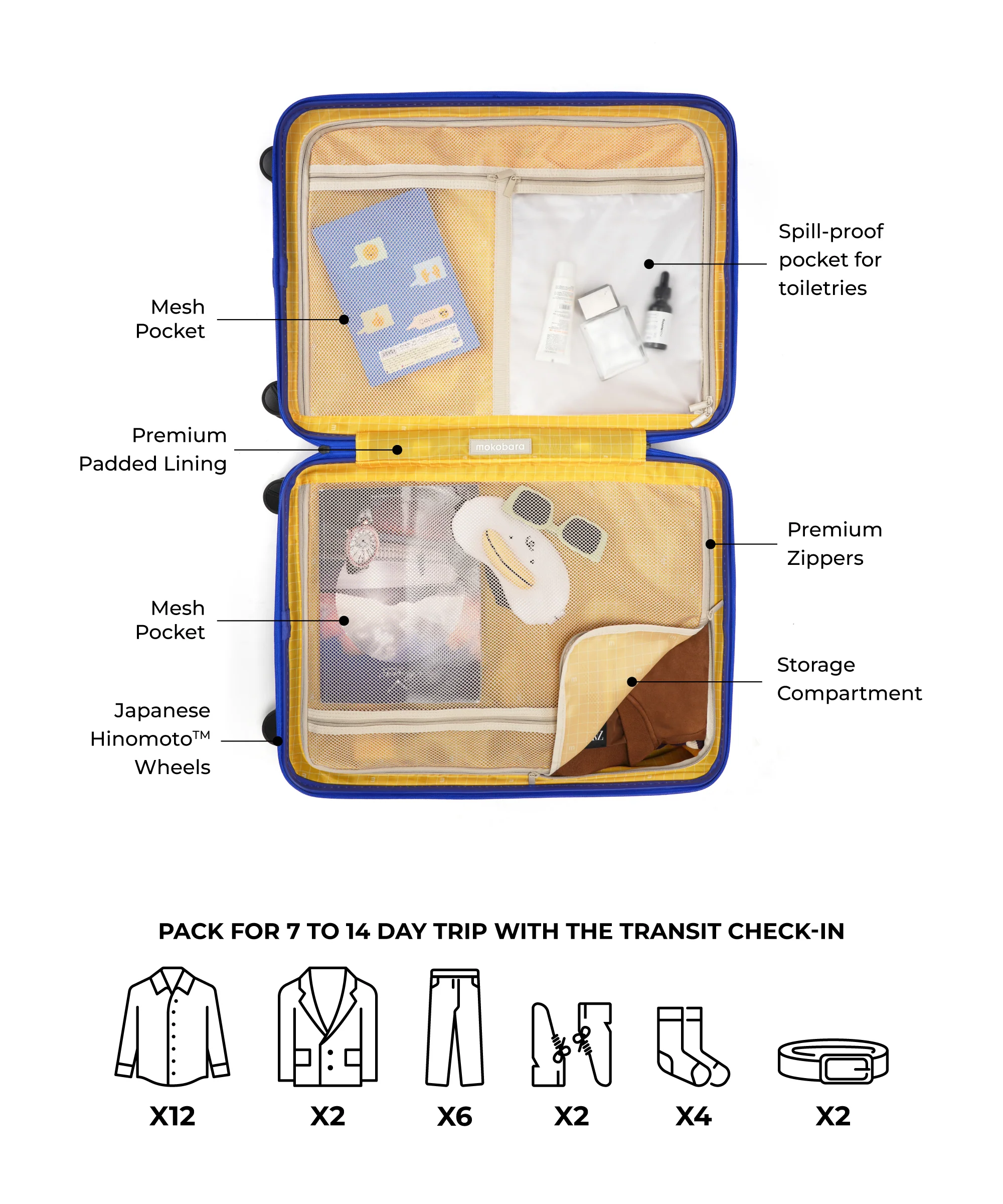 Transit Luggage - Check-in - Image 47