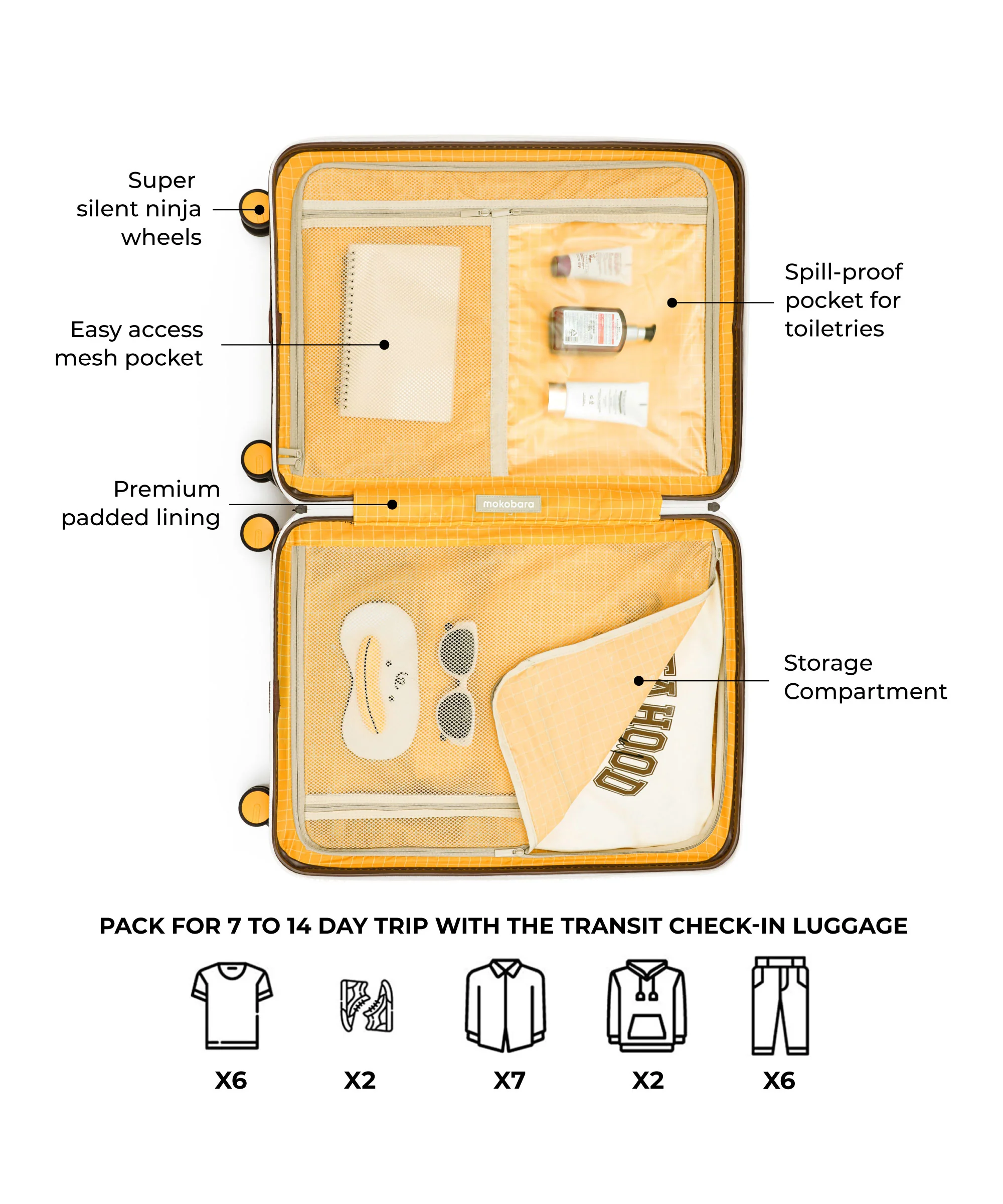 Transit Luggage - Check-in - Image 5