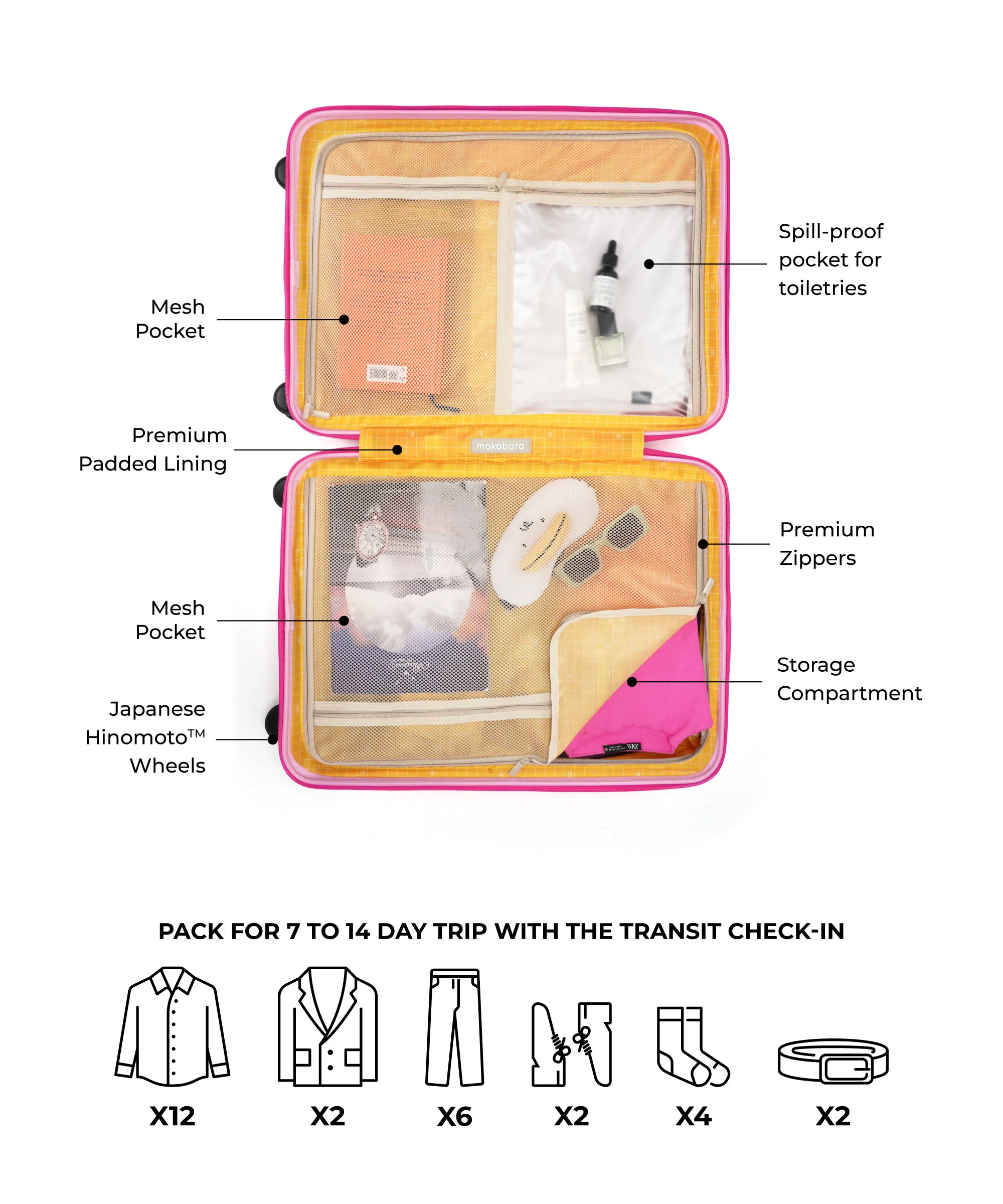 Transit Luggage - Check-in - Image 58