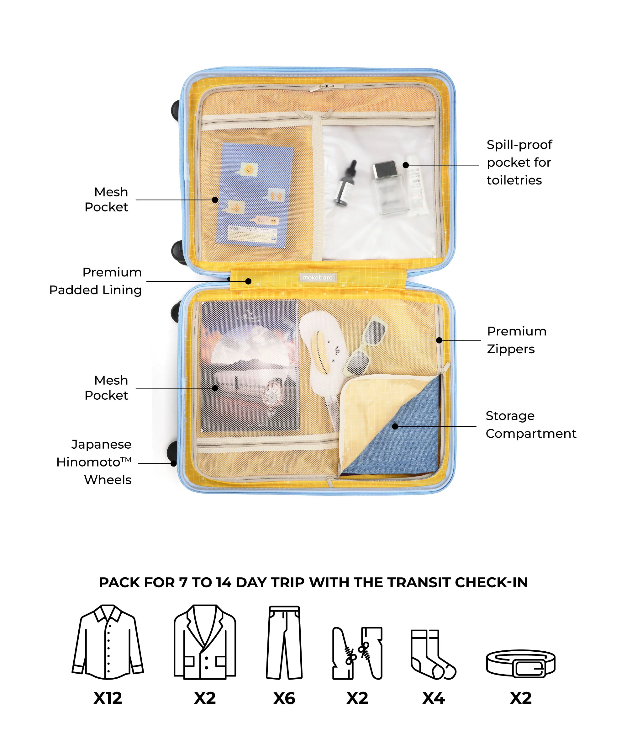Transit Luggage - Check-in - Image 69