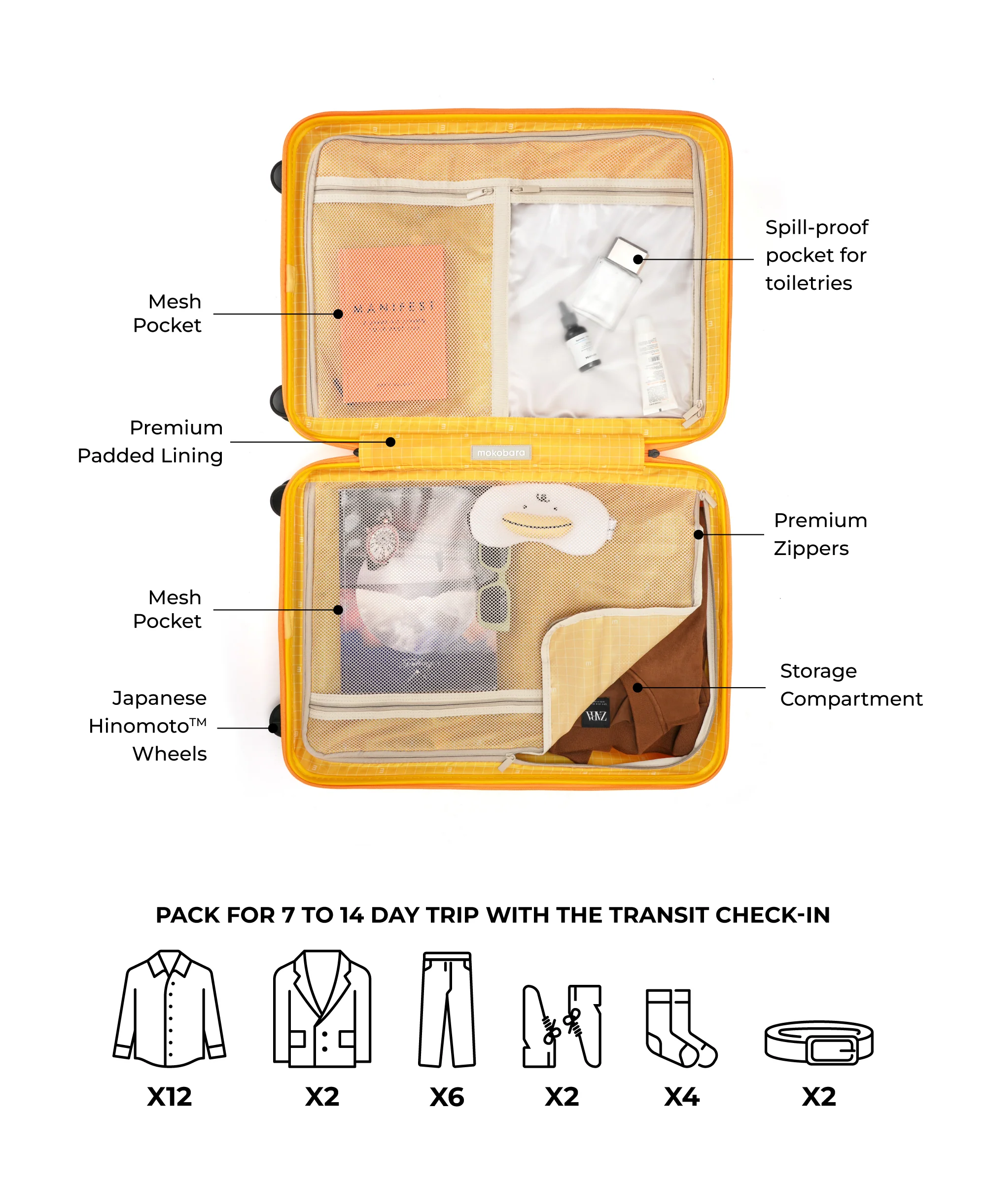Transit Luggage - Check-in - Image 80