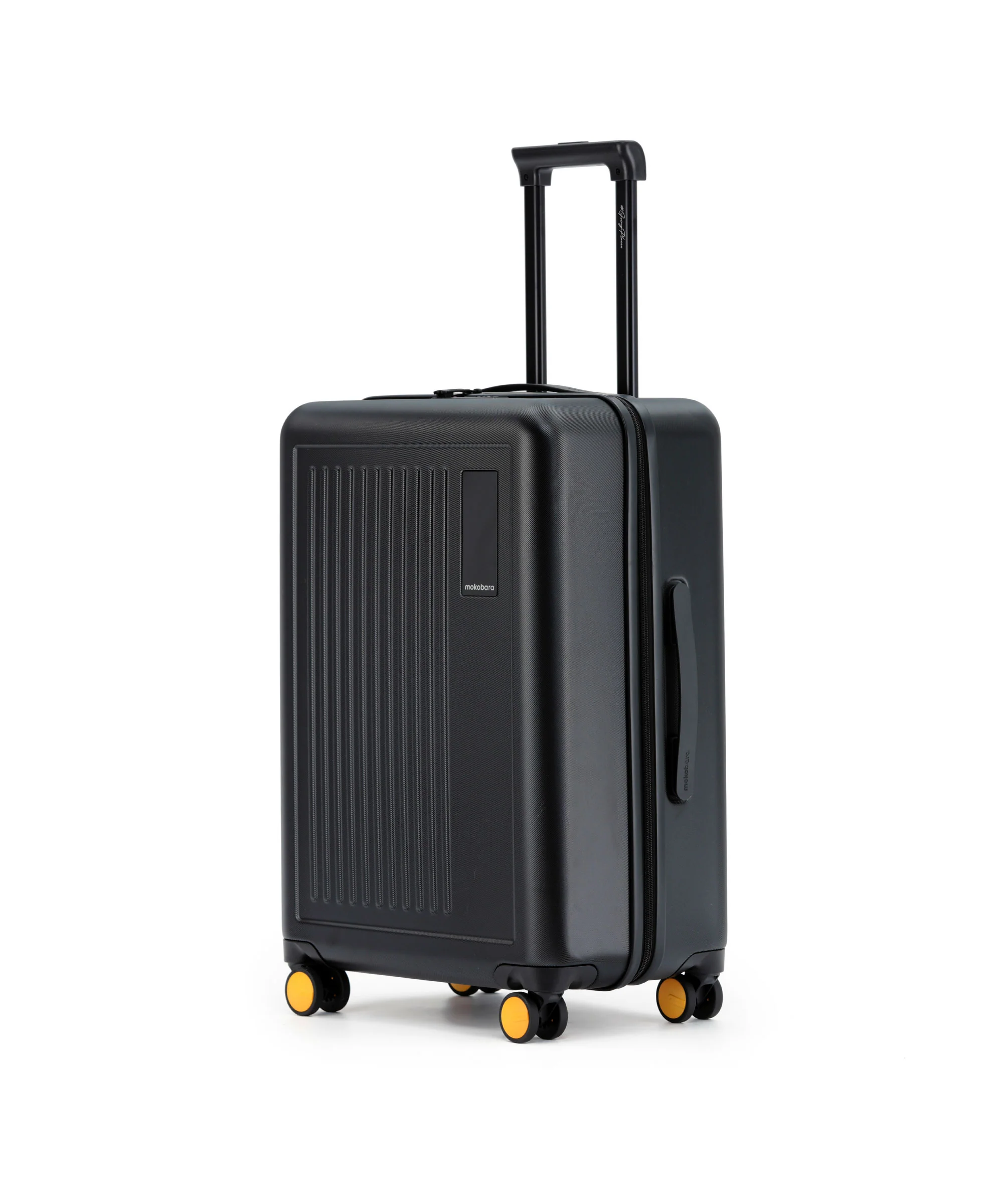 Transit Luggage - Check-in - Image 9