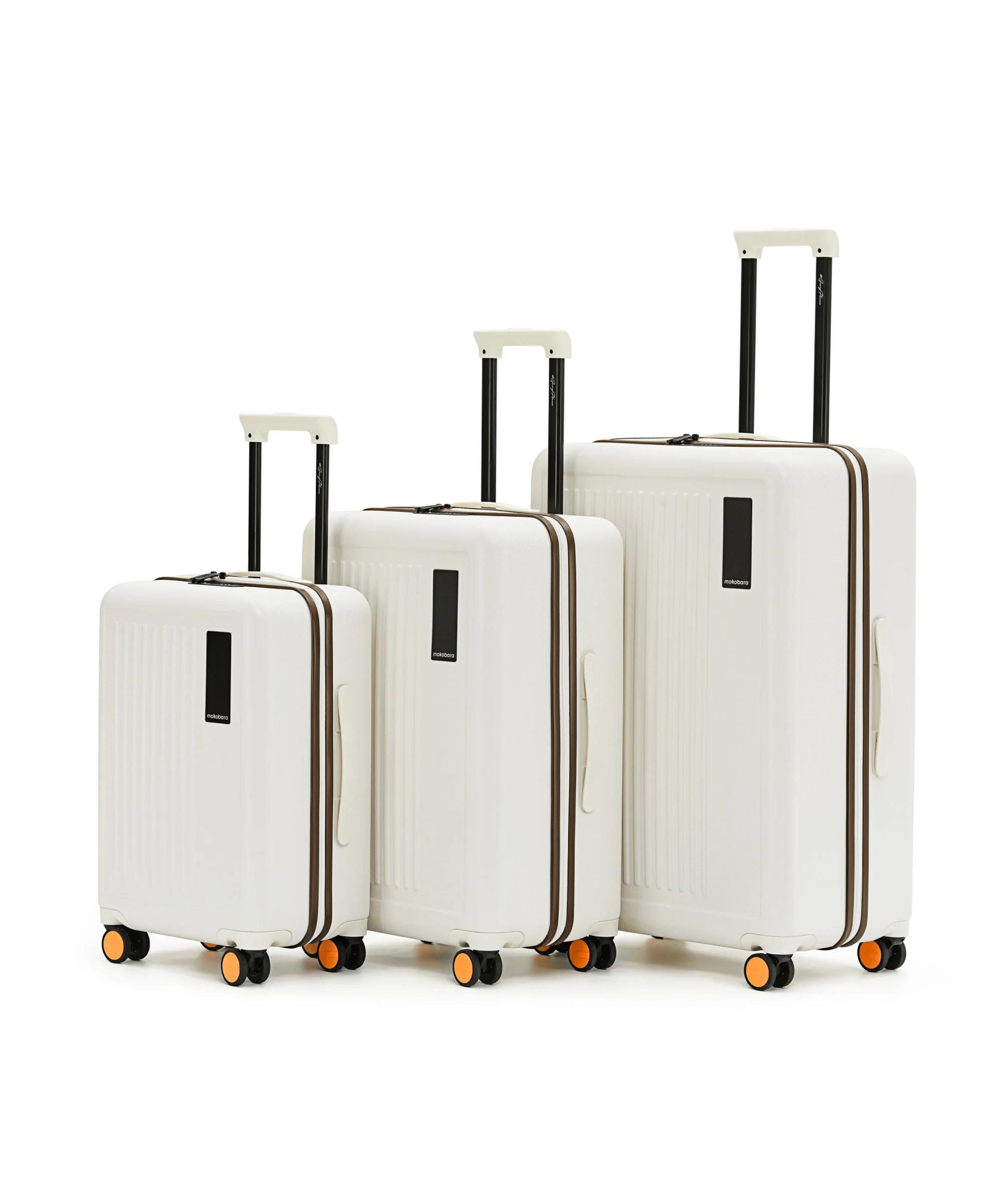 Transit Luggage - Set of 3 - Image 19
